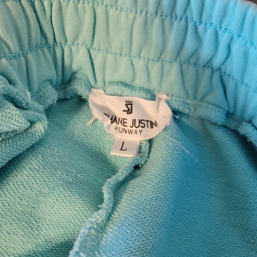 Shane Justin shorts baby blue - Picture 4 of 4